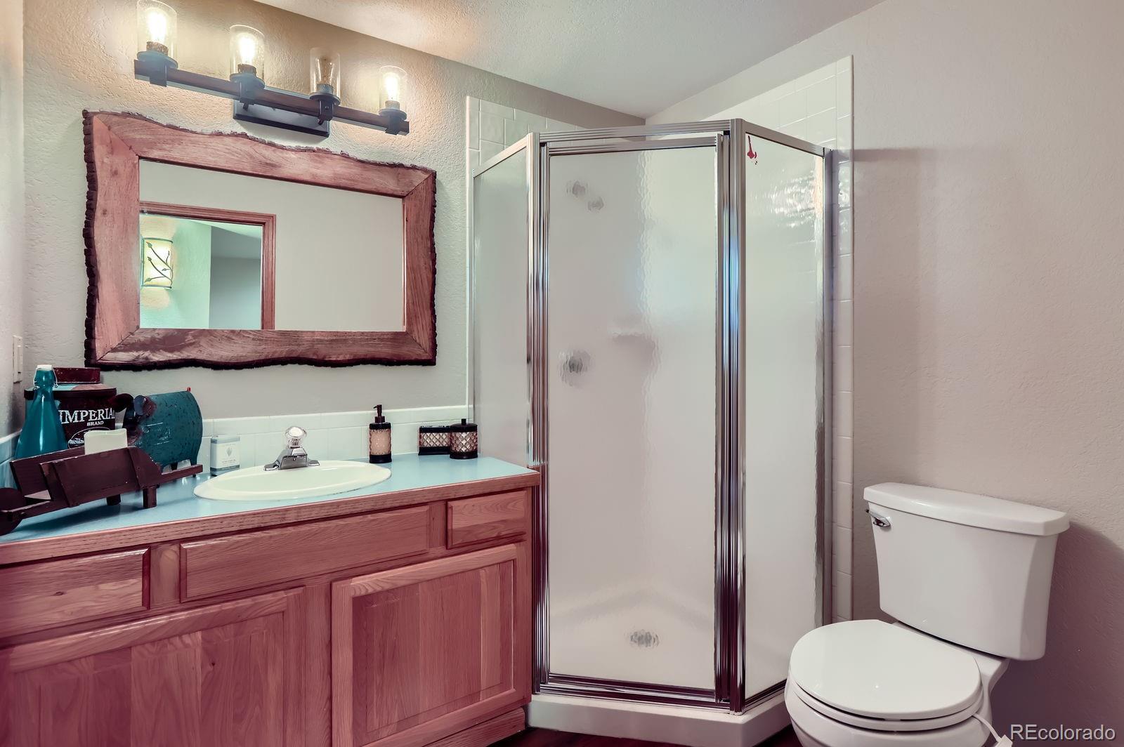 MLS Image #26 for 2939  blue leaf court,fort collins, Colorado