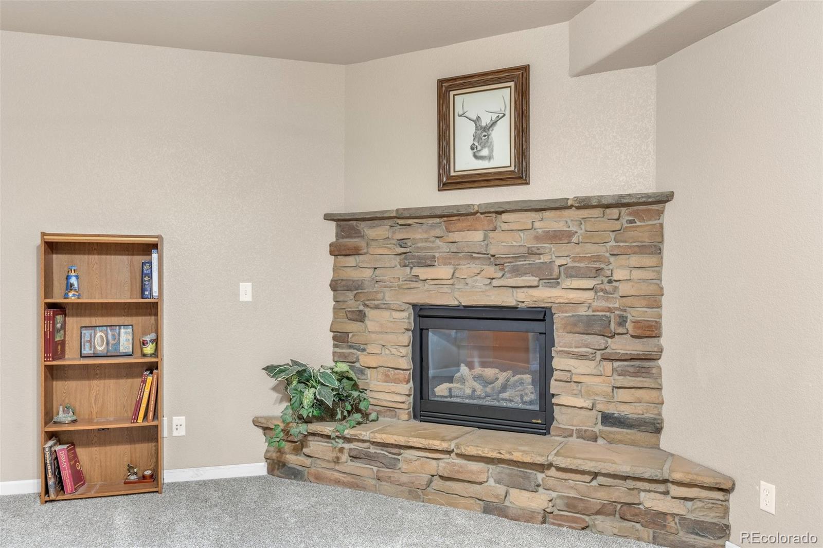 MLS Image #23 for 599 e tanager drive,pueblo west, Colorado