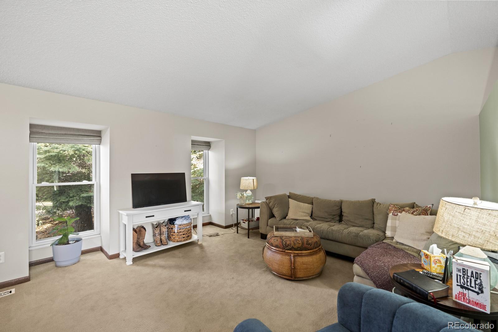MLS Image #10 for 2825  downhill drive,colorado springs, Colorado