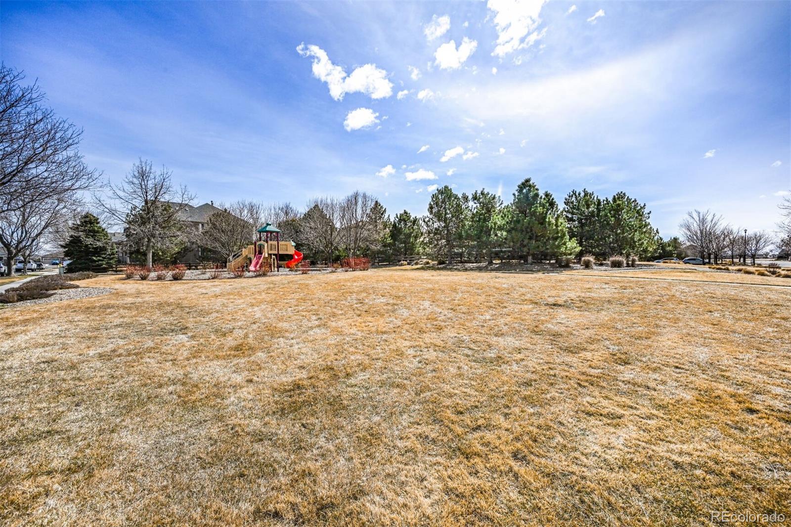 MLS Image #28 for 1481  red poppy way,brighton, Colorado