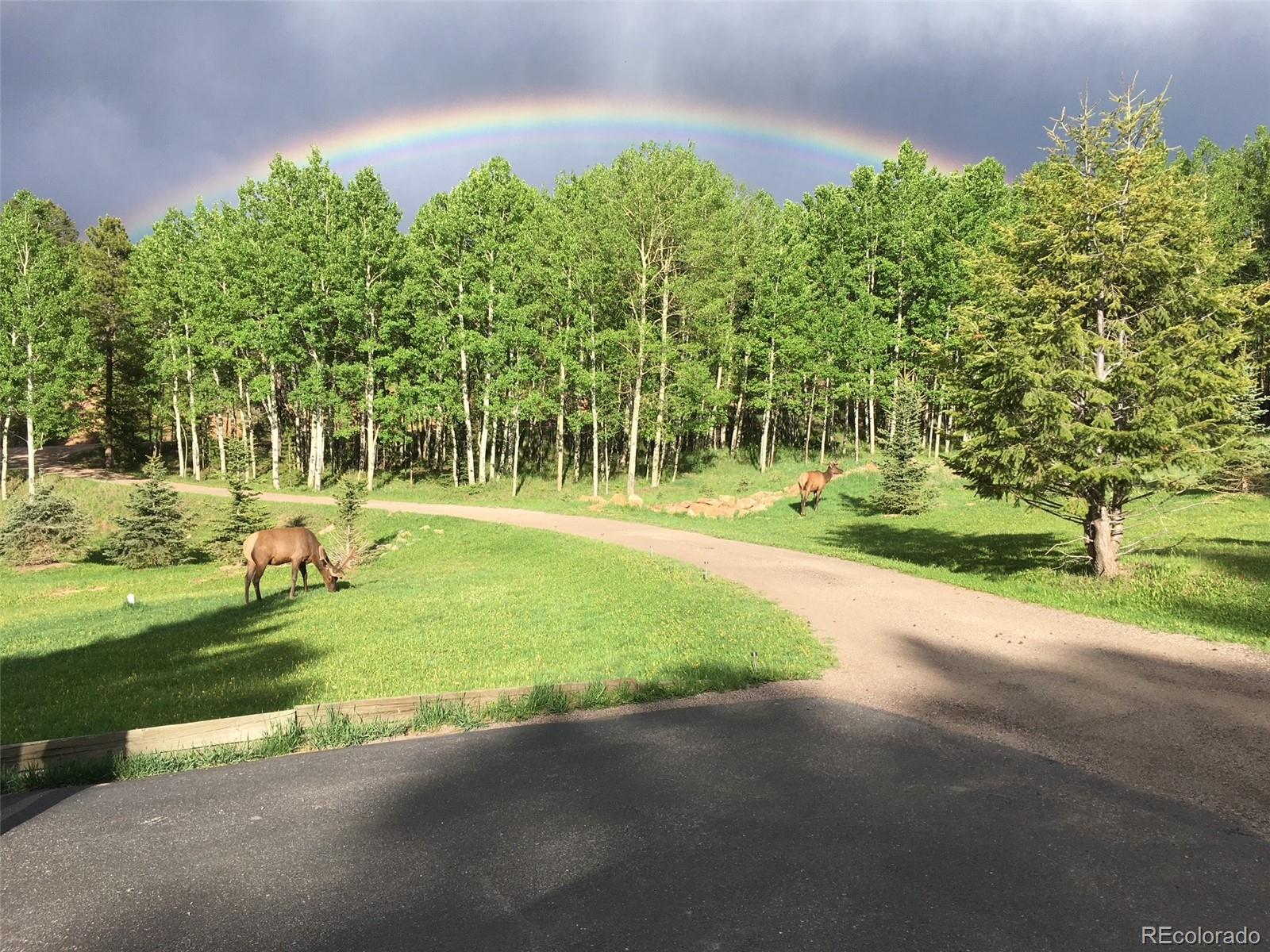 MLS Image #2 for 9239  black mountain drive,conifer, Colorado