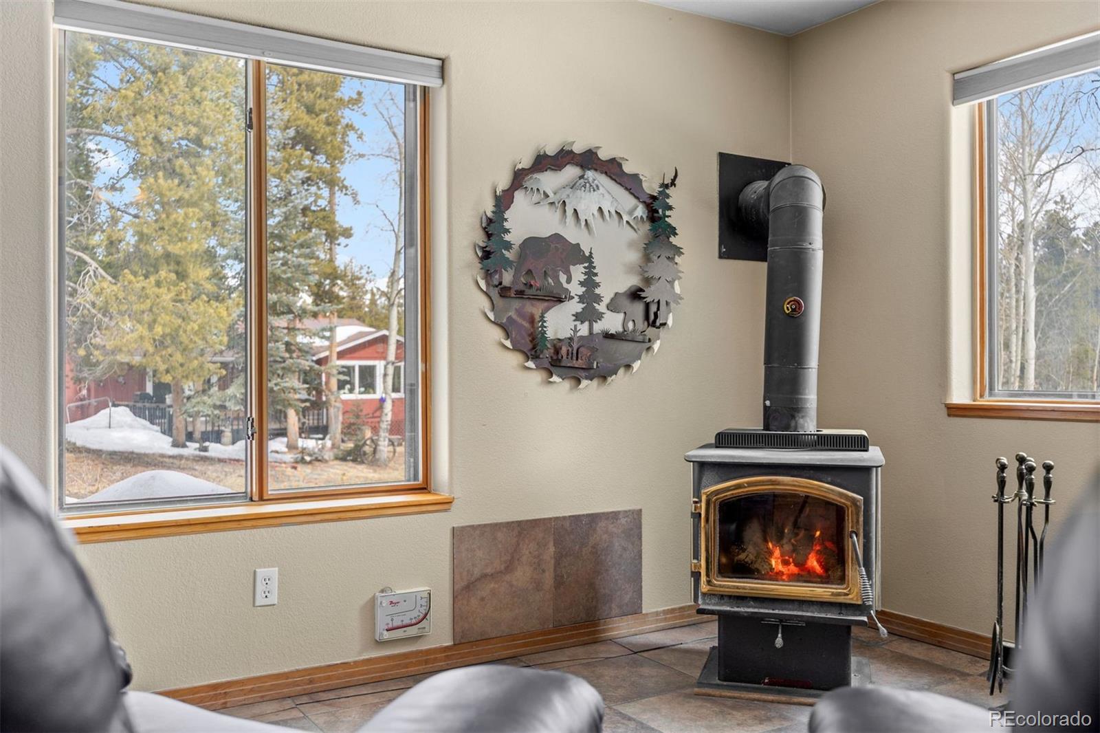 MLS Image #26 for 9239  black mountain drive,conifer, Colorado