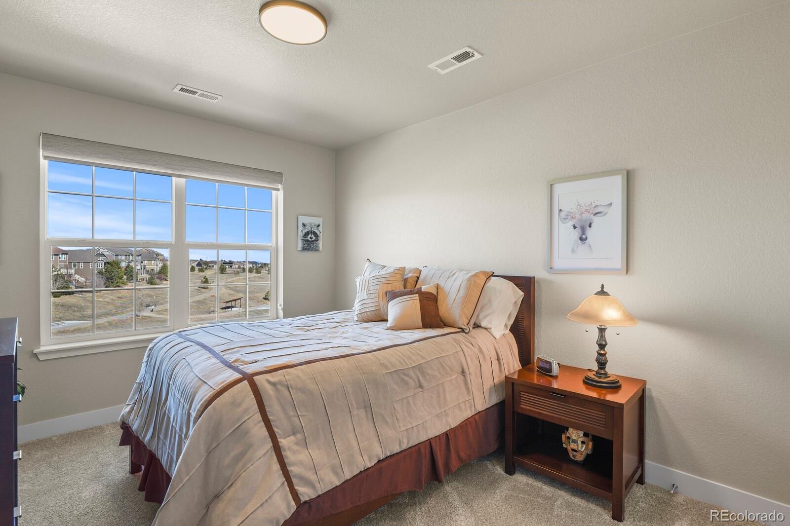 MLS Image #26 for 23893 e minnow circle,aurora, Colorado