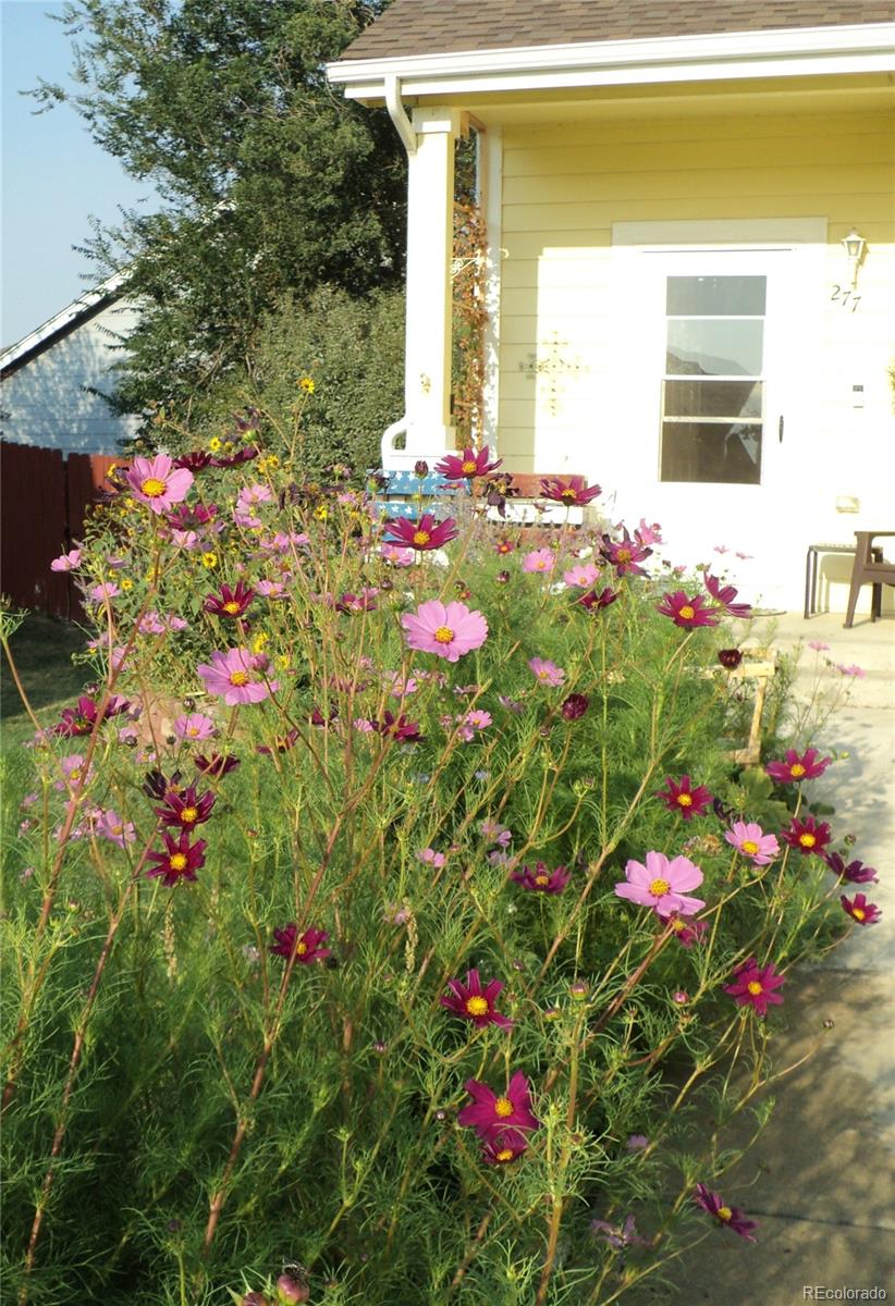 MLS Image #25 for 277  turf trail place ,fountain, Colorado