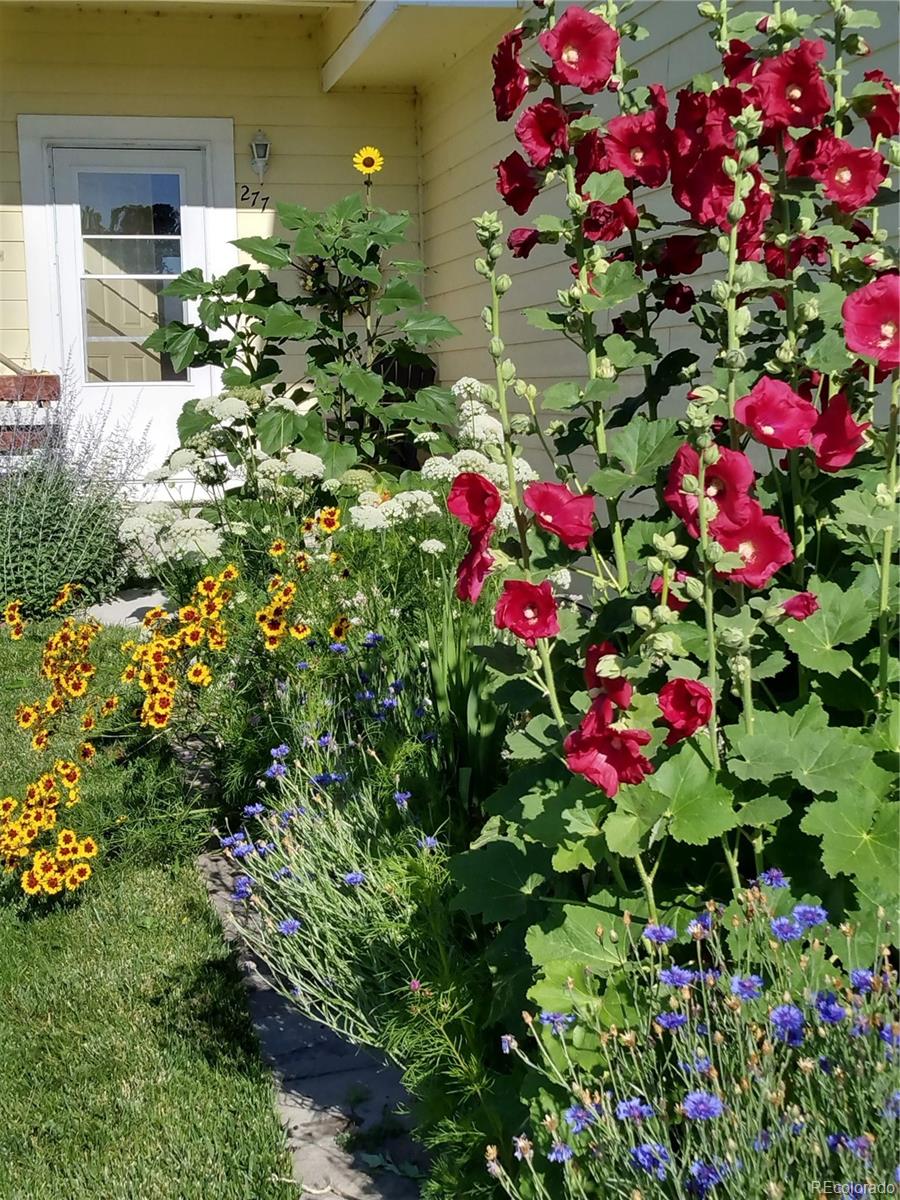 MLS Image #27 for 277  turf trail place ,fountain, Colorado