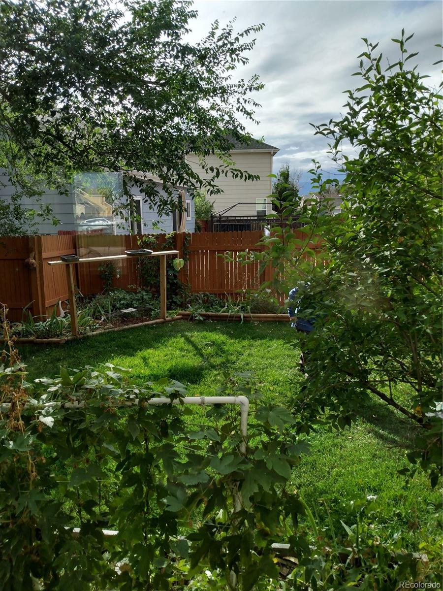 MLS Image #29 for 277  turf trail place ,fountain, Colorado