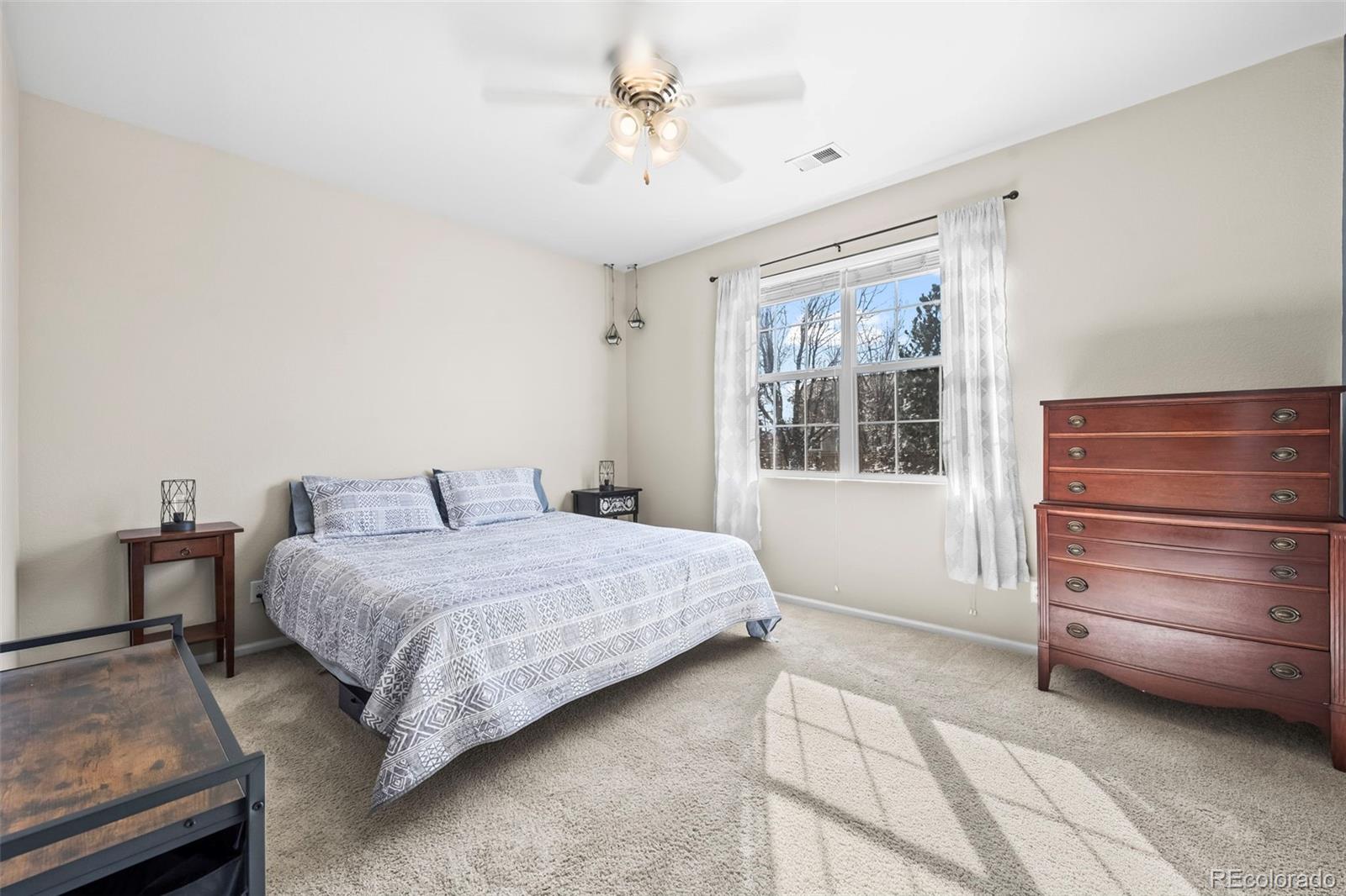 MLS Image #11 for 209  falmouth street,castle rock, Colorado