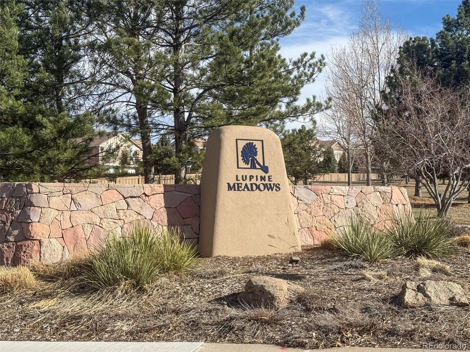 MLS Image #20 for 209  falmouth street,castle rock, Colorado