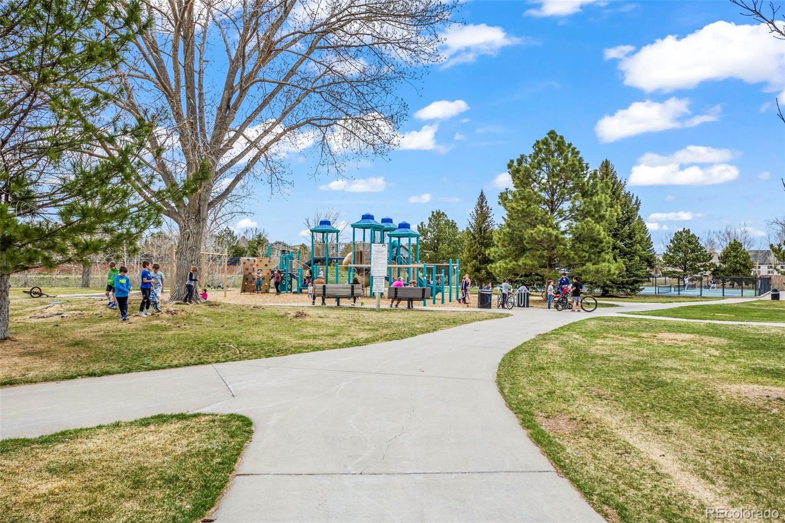 MLS Image #25 for 209  falmouth street,castle rock, Colorado