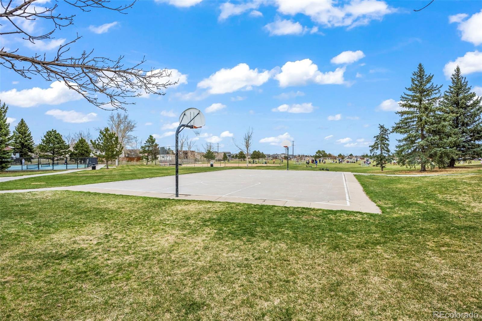 MLS Image #28 for 209  falmouth street,castle rock, Colorado