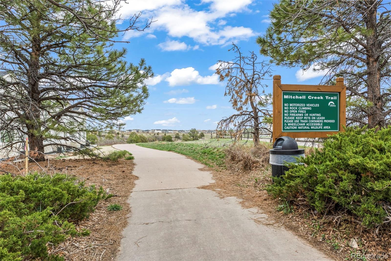 MLS Image #29 for 209  falmouth street,castle rock, Colorado