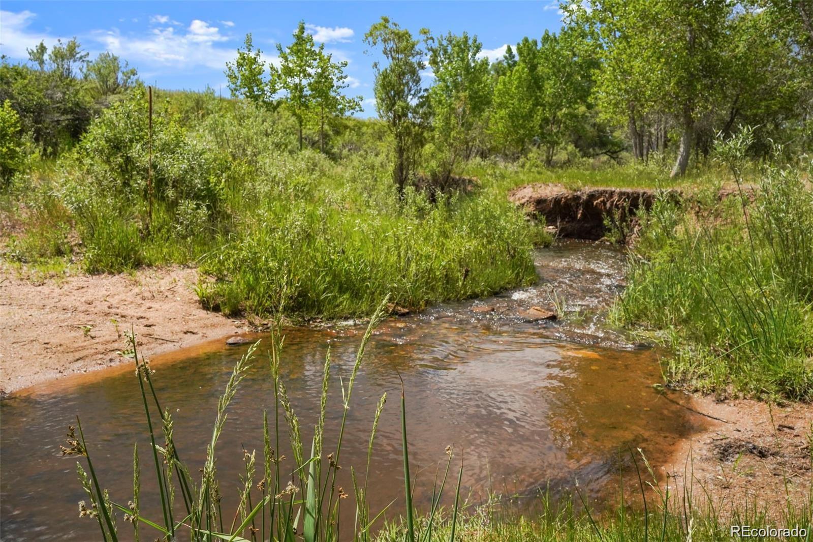 MLS Image #41 for 6145 s perry park road,sedalia, Colorado