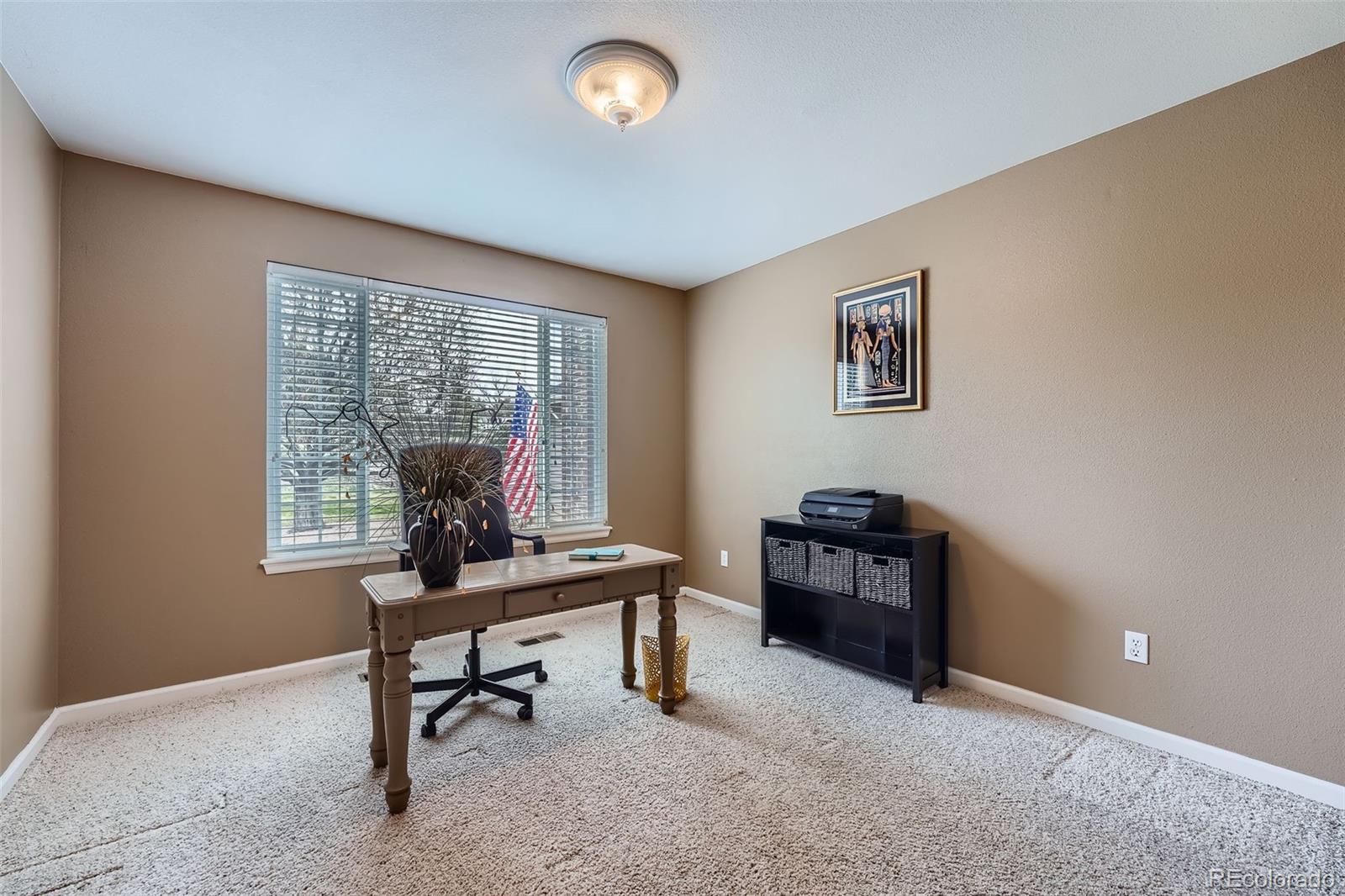 MLS Image #19 for 3562  pine meadow avenue,parker, Colorado