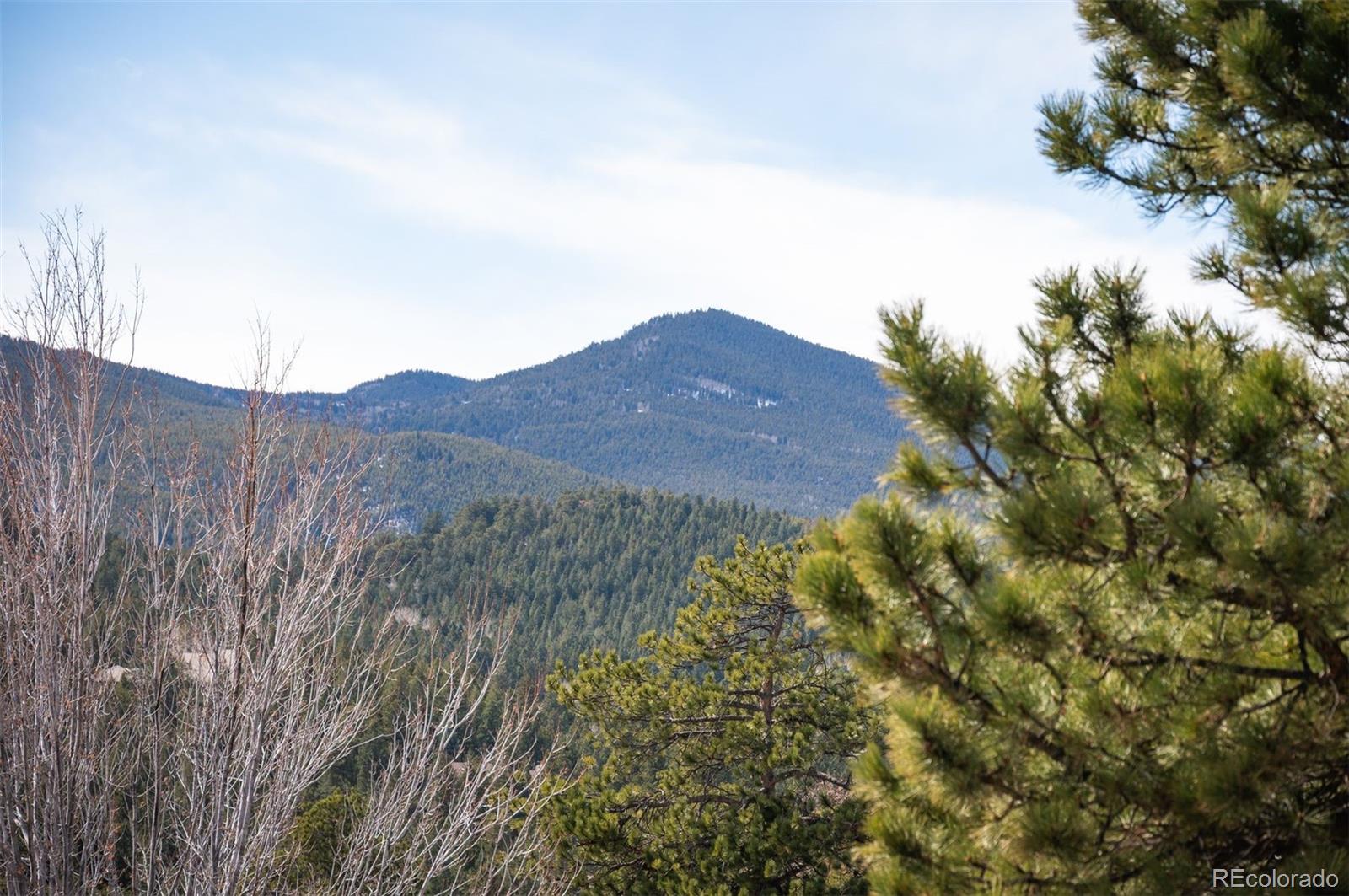 MLS Image #24 for 31819  rocky village drive,evergreen, Colorado