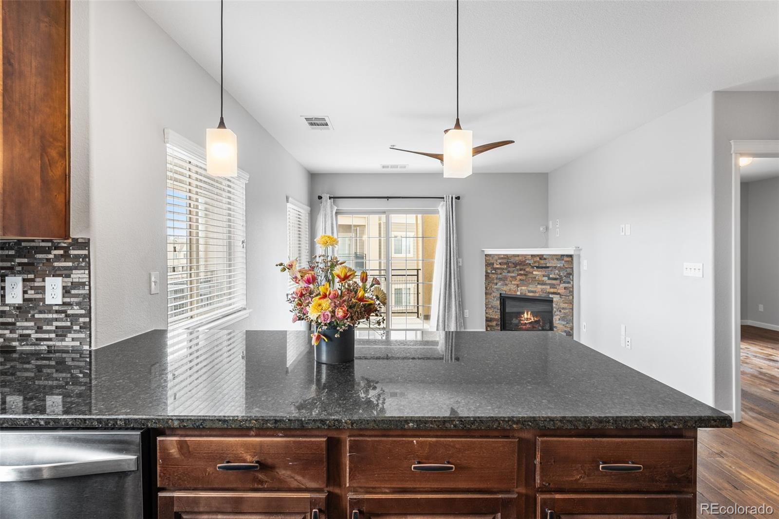 MLS Image #28 for 9258  rockhurst street,highlands ranch, Colorado