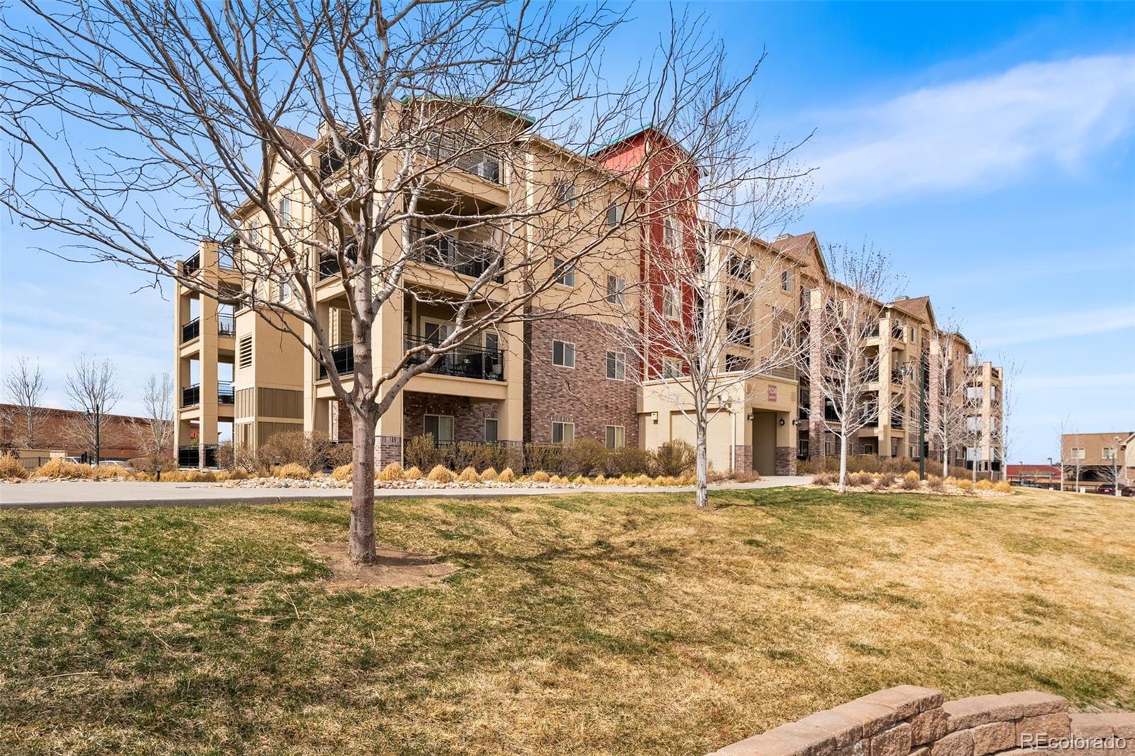 MLS Image #3 for 9258  rockhurst street,highlands ranch, Colorado