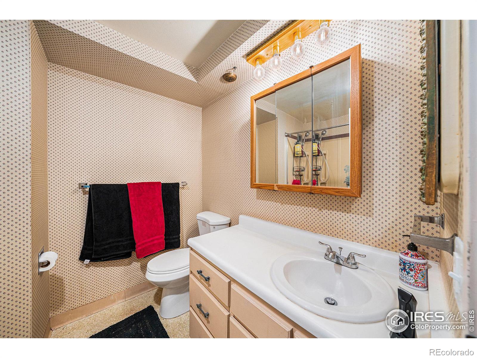 MLS Image #10 for 415 s howes street,fort collins, Colorado