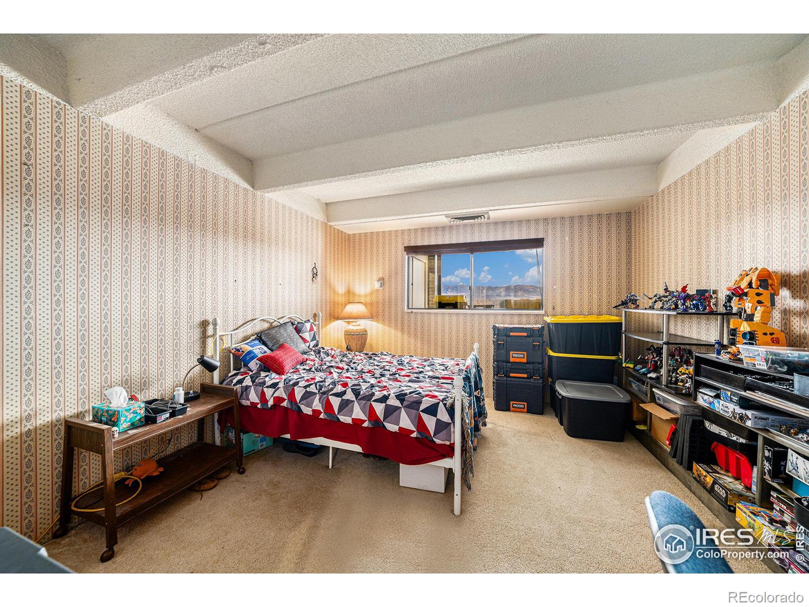MLS Image #9 for 415 s howes street,fort collins, Colorado