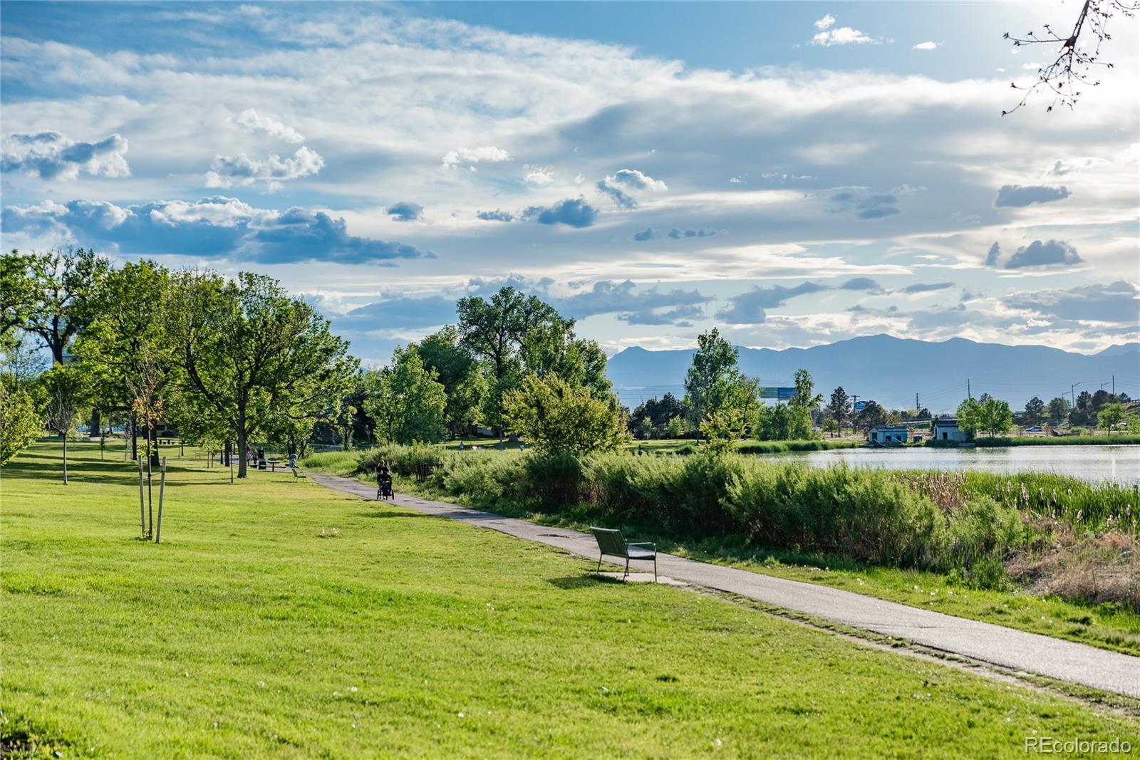 MLS Image #41 for 3929  newton street,denver, Colorado