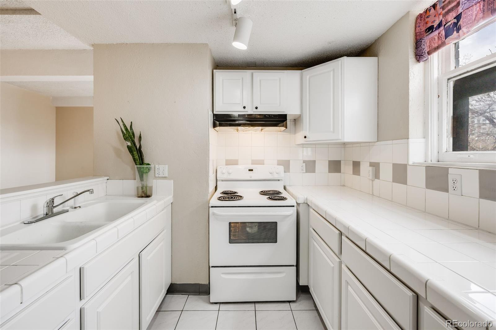 MLS Image #10 for 215 e 11th avenue,denver, Colorado