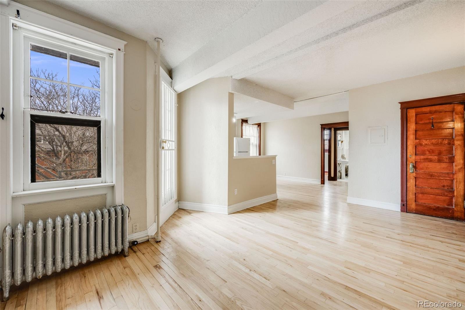 MLS Image #4 for 215 e 11th avenue,denver, Colorado