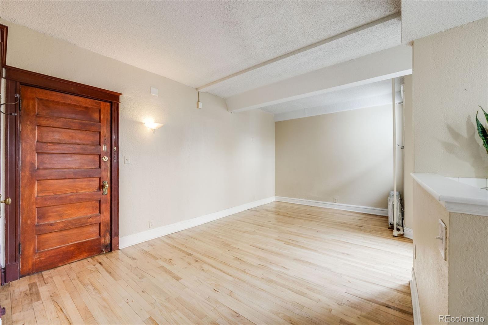 MLS Image #5 for 215 e 11th avenue,denver, Colorado