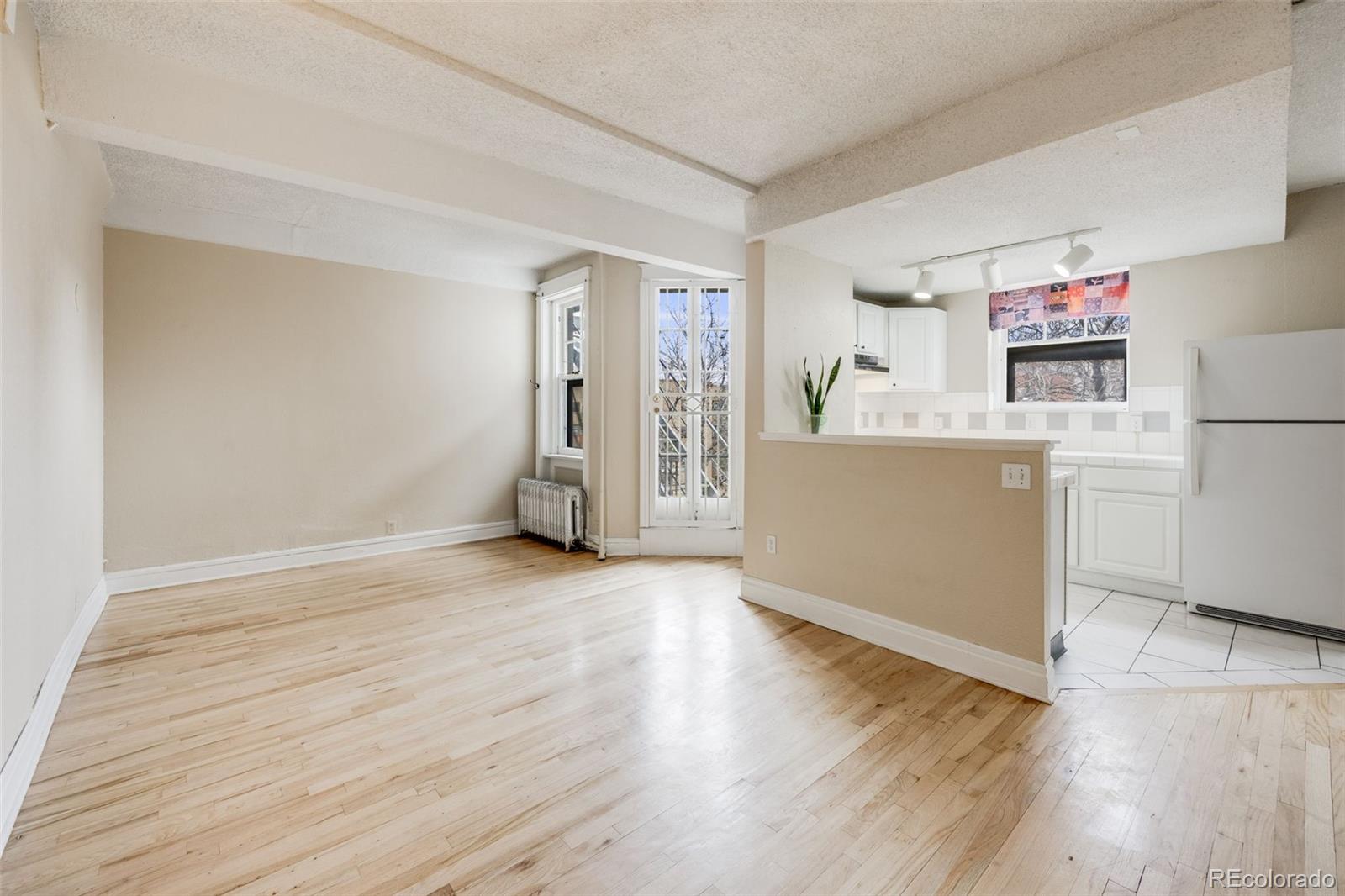 MLS Image #6 for 215 e 11th avenue,denver, Colorado