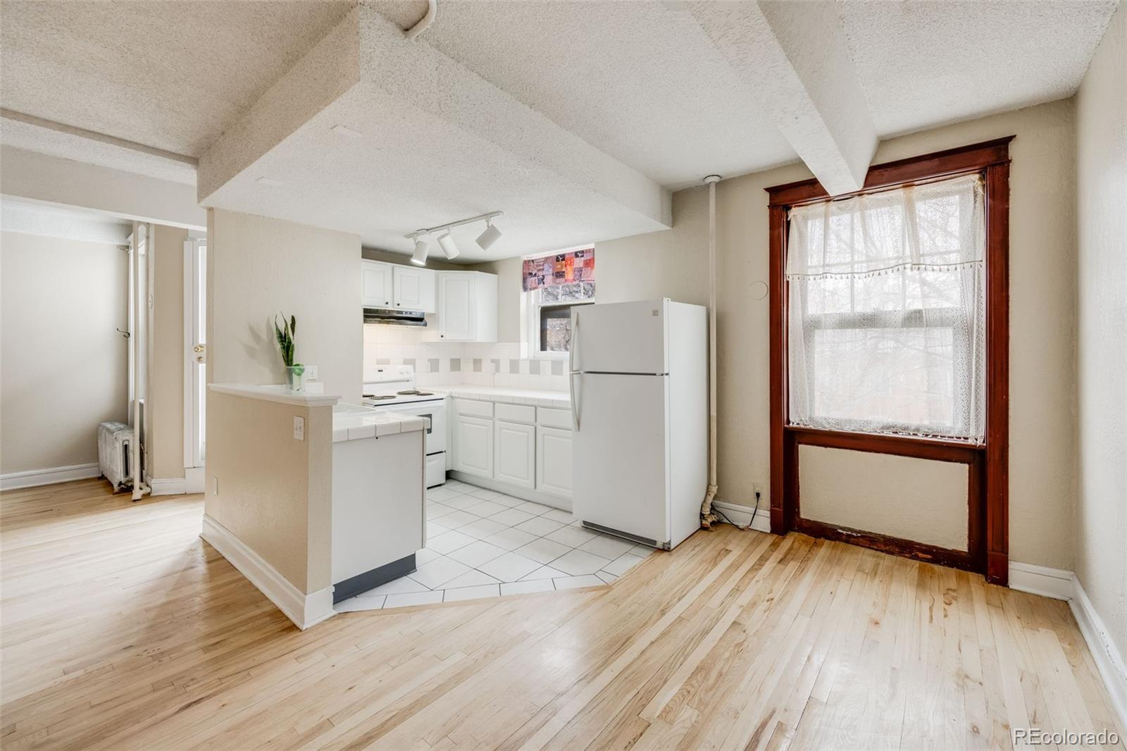 MLS Image #7 for 215 e 11th avenue,denver, Colorado