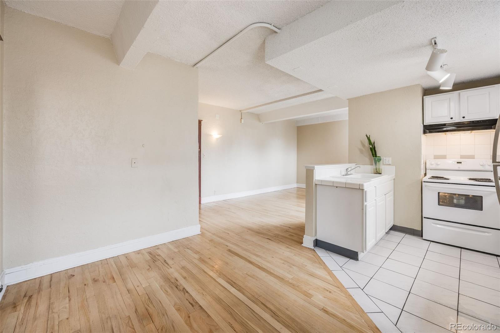 MLS Image #8 for 215 e 11th avenue,denver, Colorado