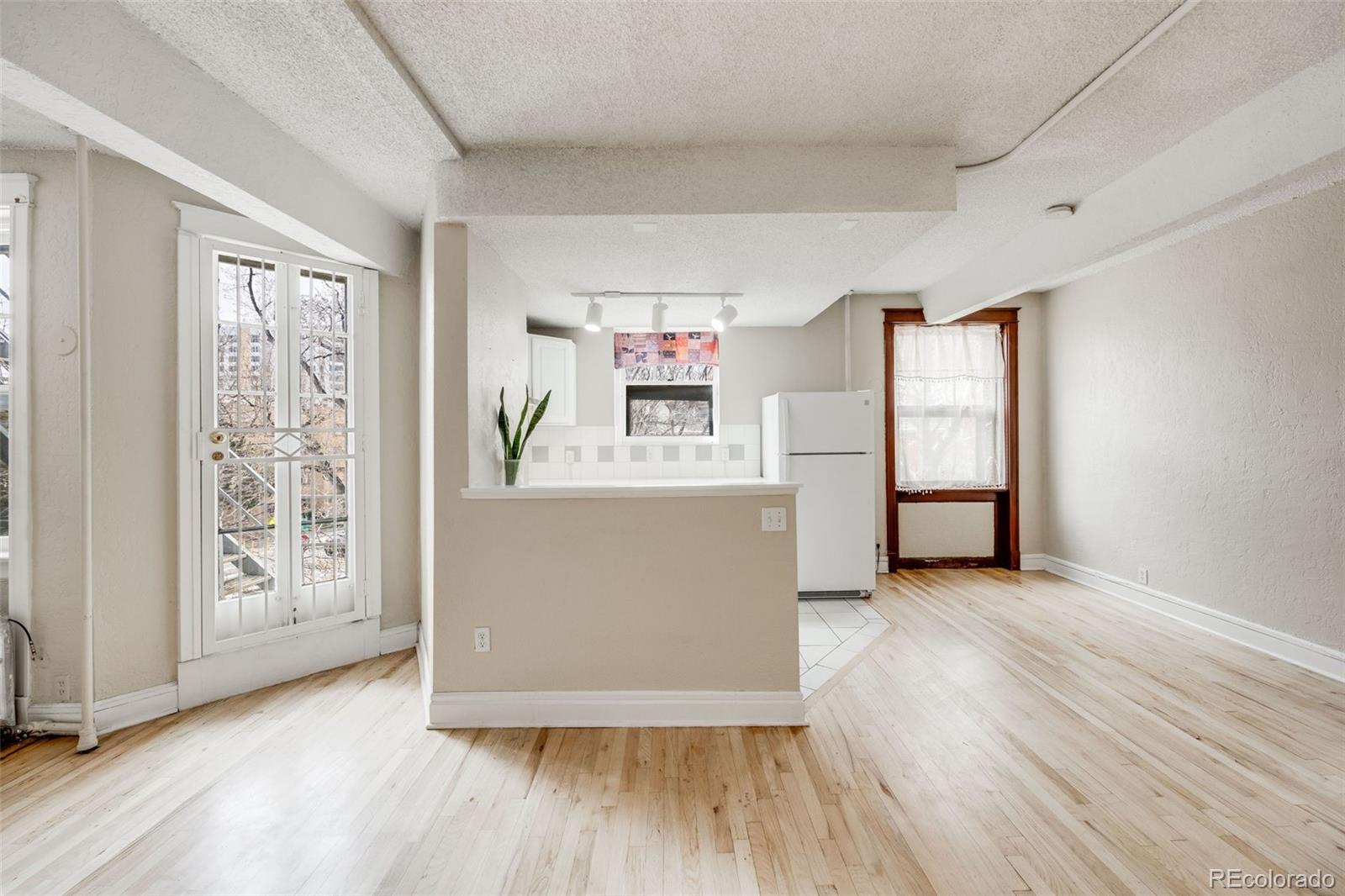 MLS Image #9 for 215 e 11th avenue,denver, Colorado
