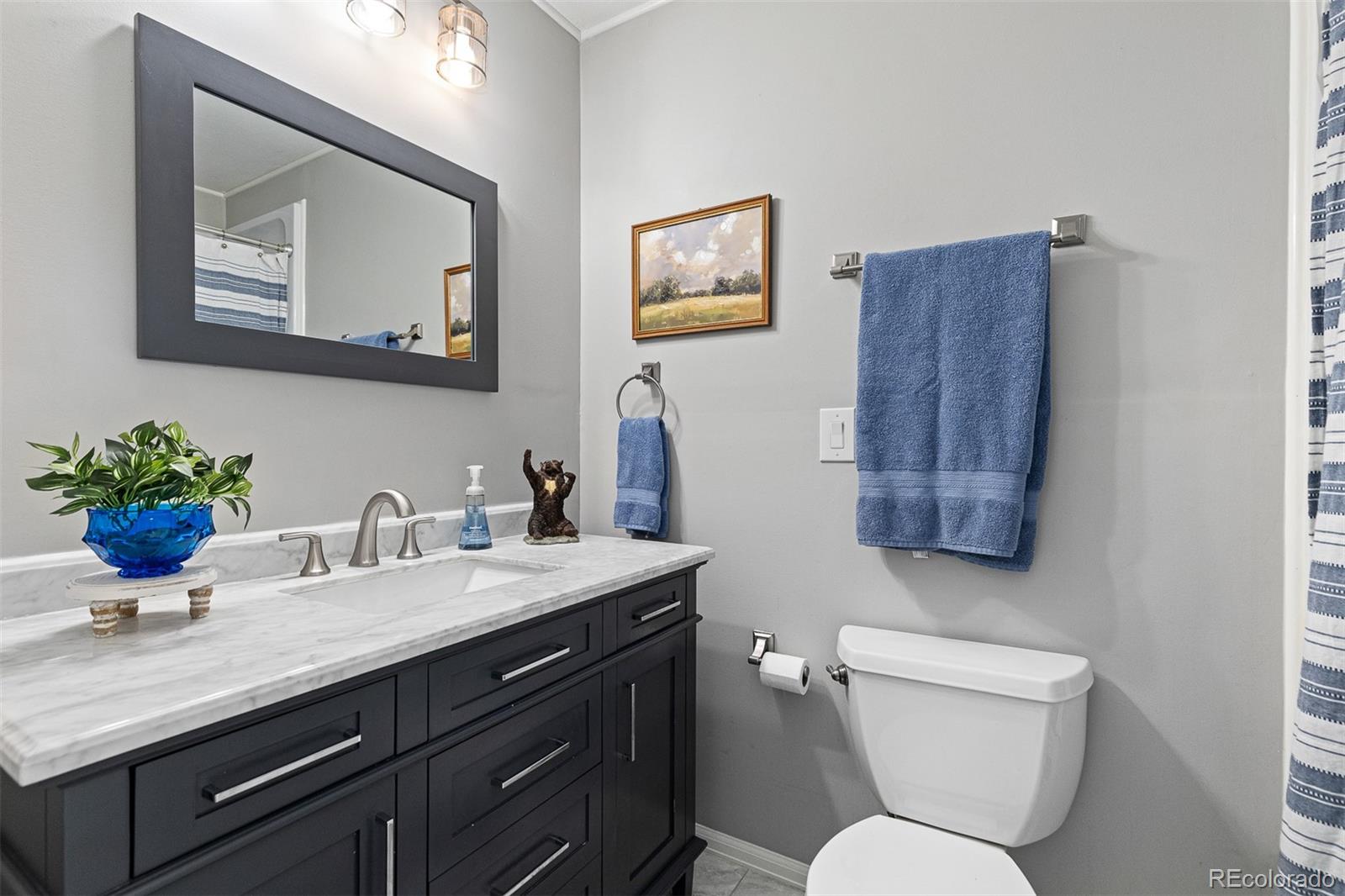MLS Image #17 for 6616  zinnia street,arvada, Colorado