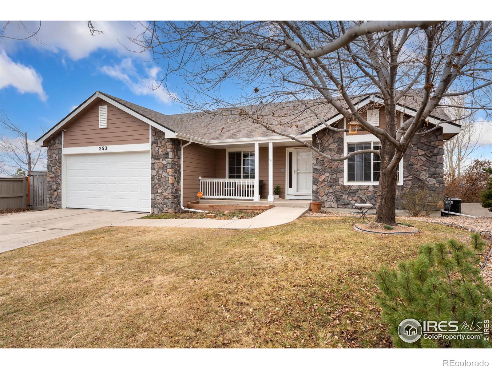CMA Image for 253  timber ridge court,Severance, Colorado