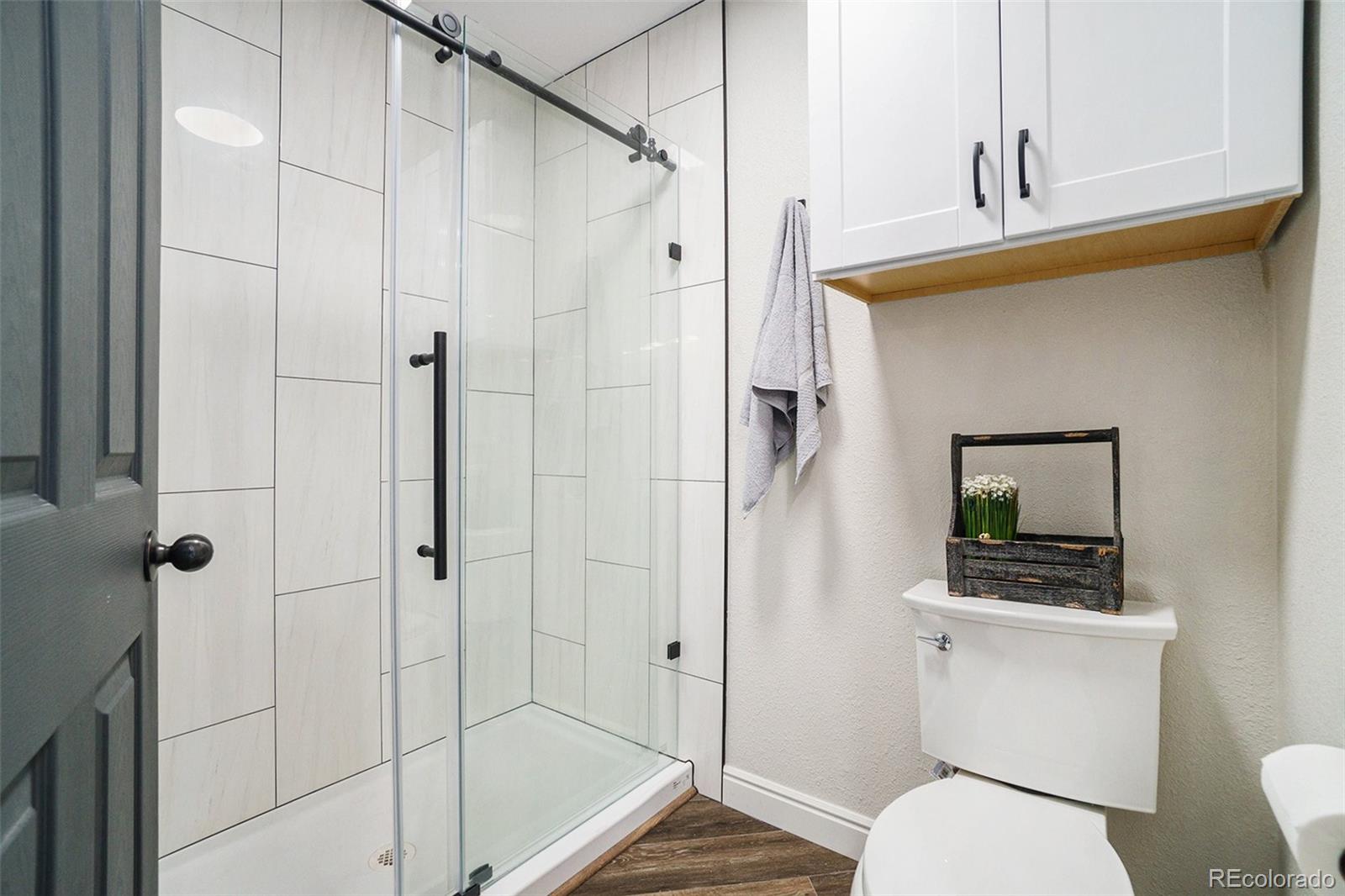 MLS Image #9 for 5225  carefree place,fort collins, Colorado