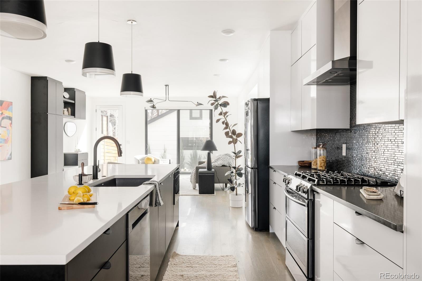 MLS Image #5 for 3446  wyandot street,denver, Colorado