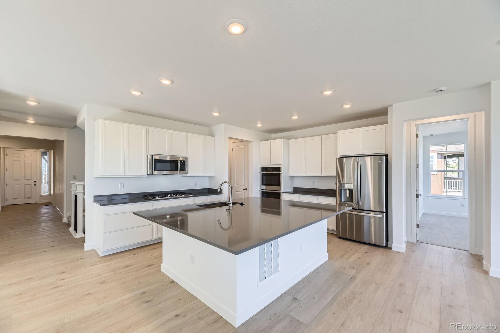 MLS Image #3 for 3991  descent street,castle rock, Colorado