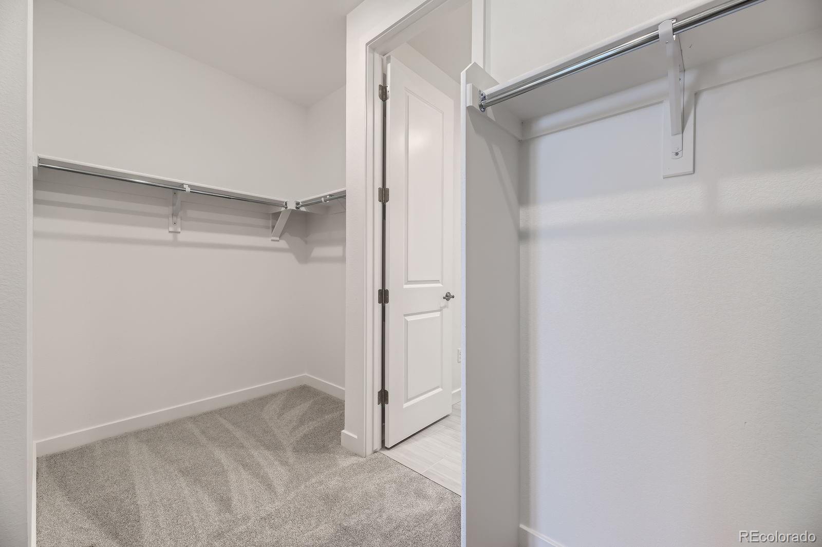MLS Image #7 for 3991  descent street,castle rock, Colorado
