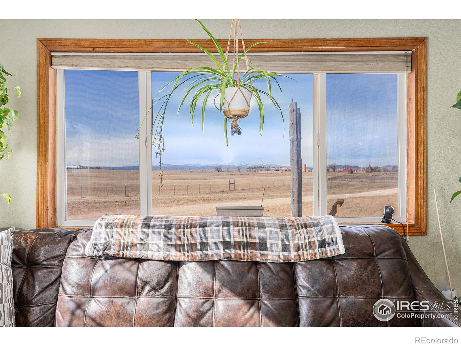 MLS Image #8 for 13116 n county road 9 ,wellington, Colorado
