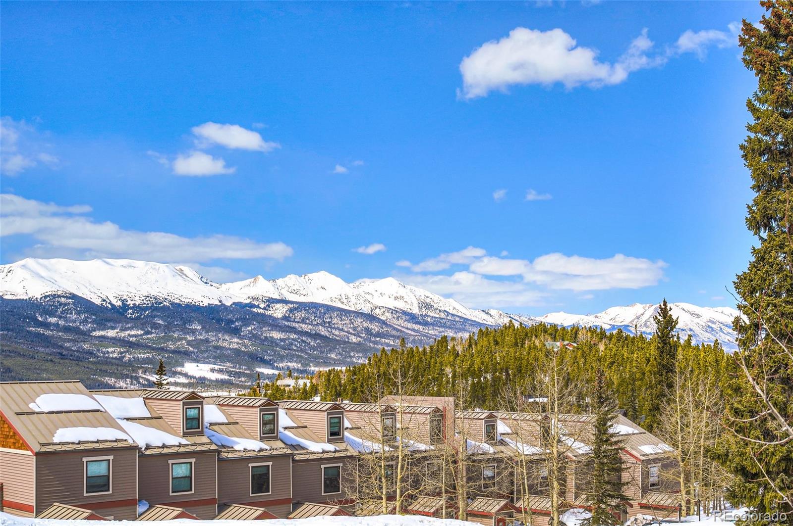 MLS Image #29 for 120  atlantic lode  4,breckenridge, Colorado