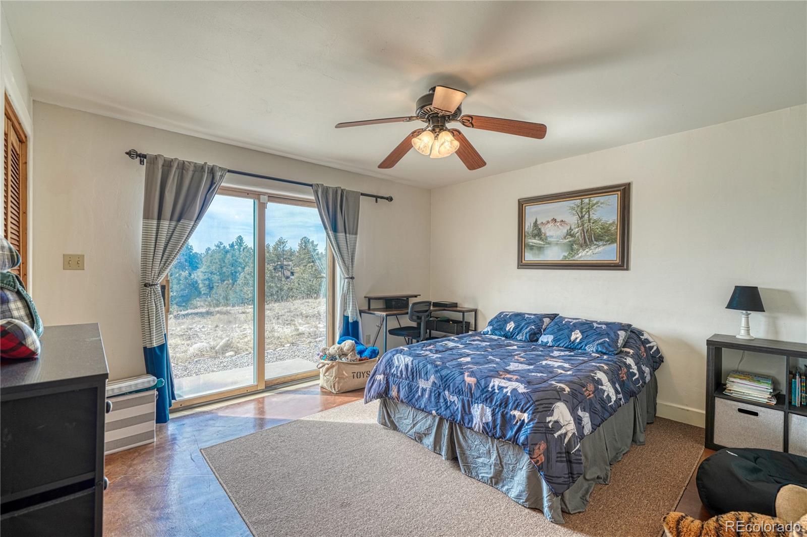 MLS Image #19 for 13380  county road 261b ,nathrop, Colorado