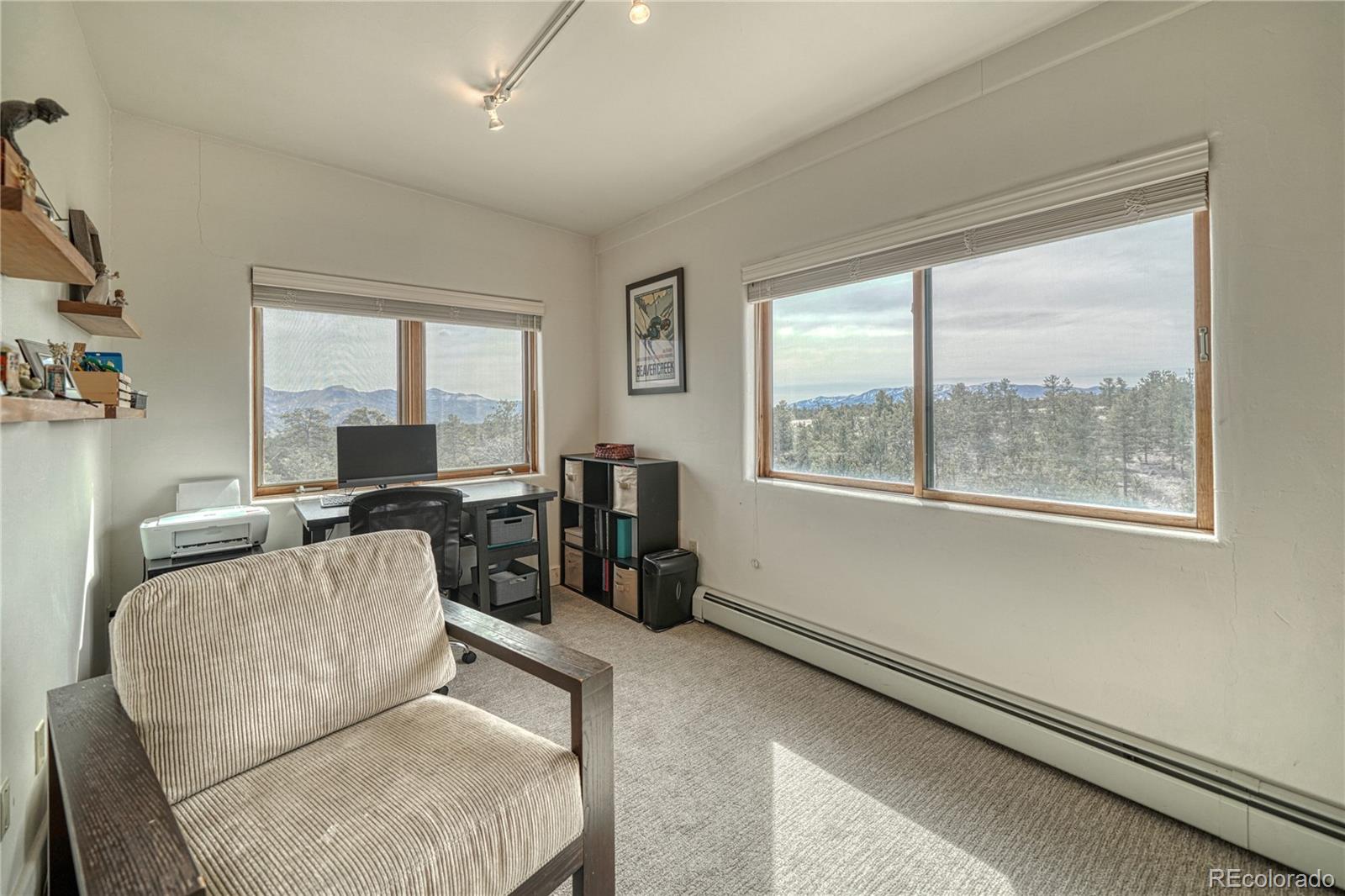 MLS Image #27 for 13380  county road 261b ,nathrop, Colorado