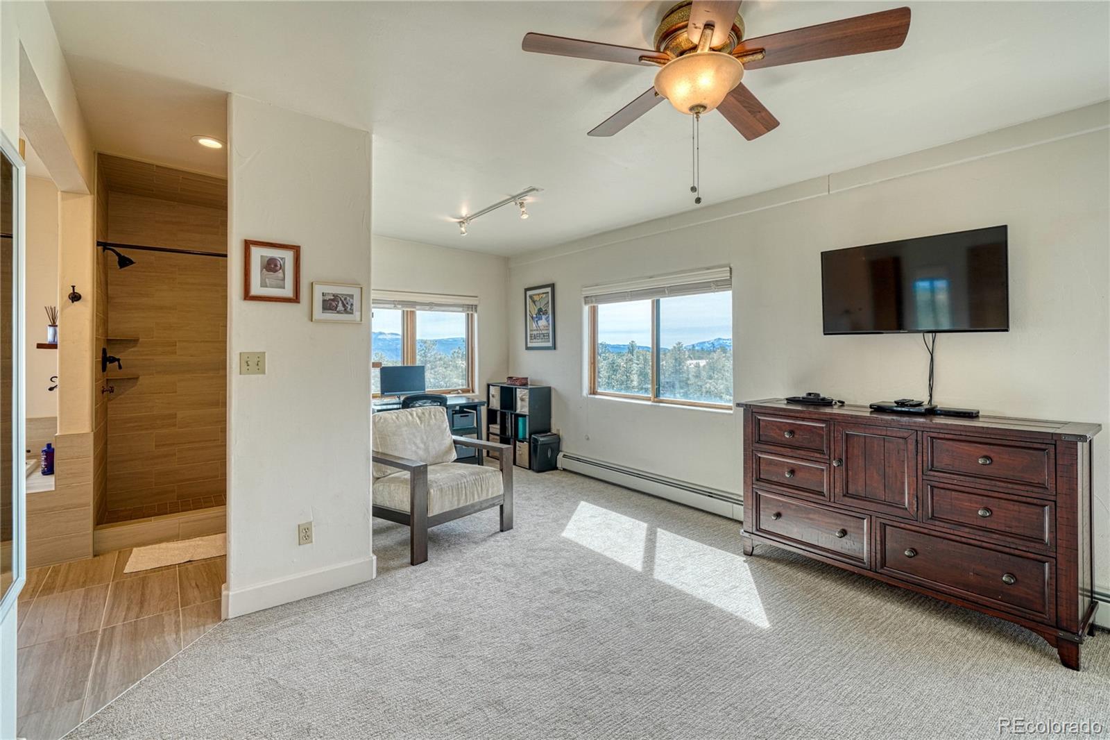 MLS Image #31 for 13380  county road 261b ,nathrop, Colorado