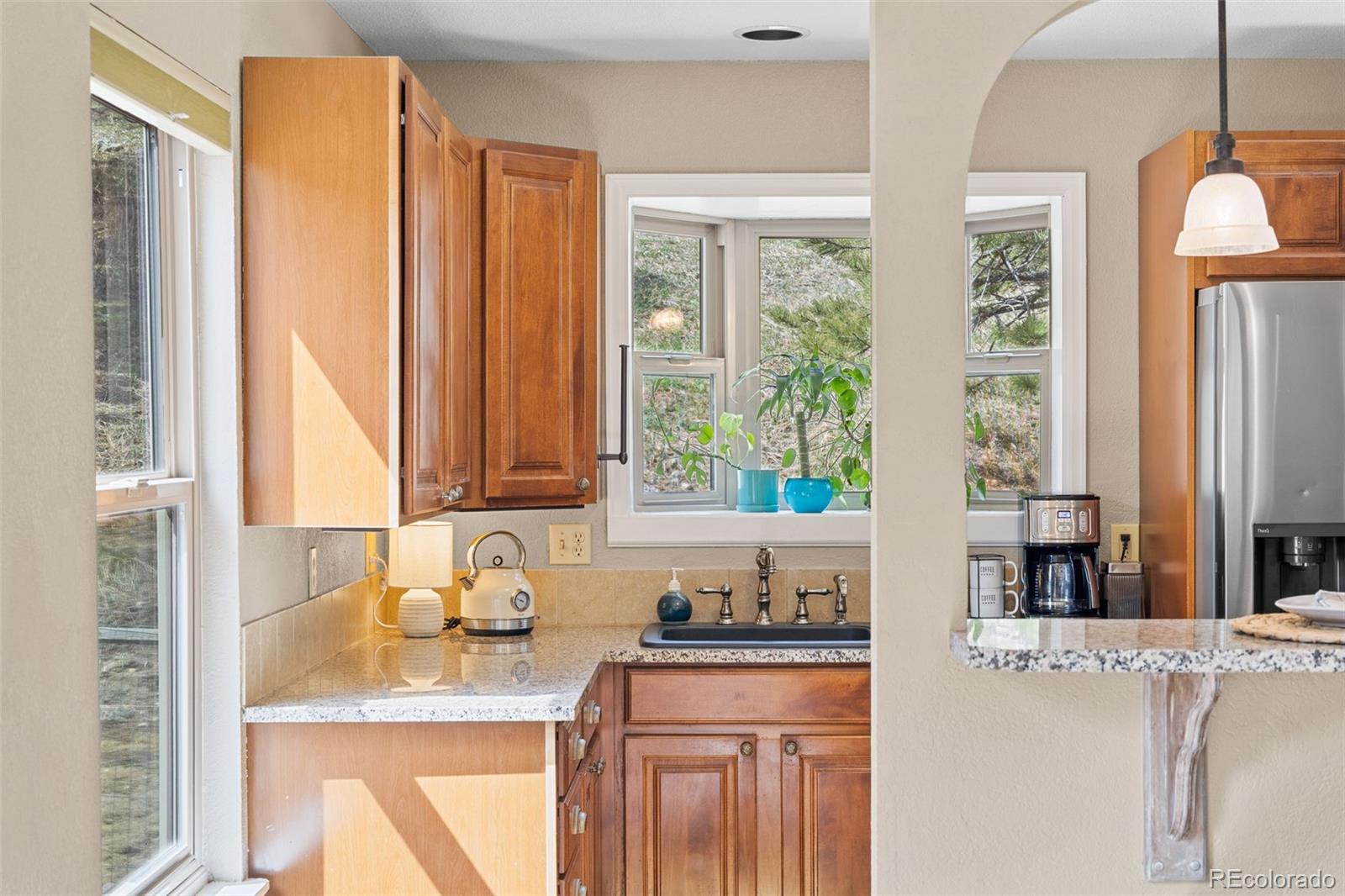 MLS Image #13 for 30313  arena drive,evergreen, Colorado