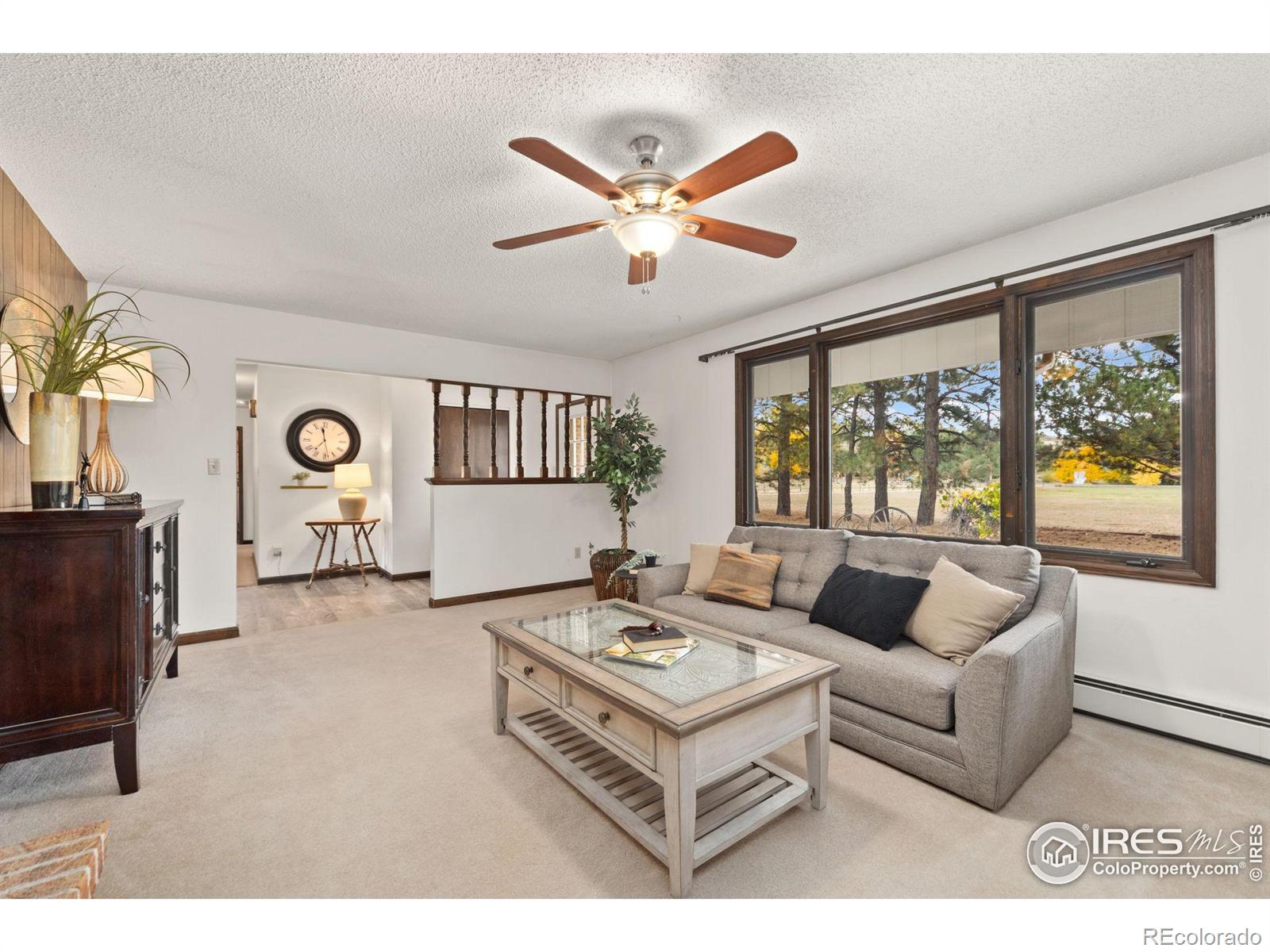 MLS Image #6 for 2411  glade road,loveland, Colorado