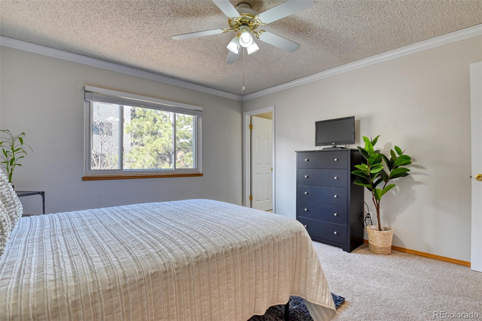 MLS Image #31 for 6486  hawkeye circle,colorado springs, Colorado