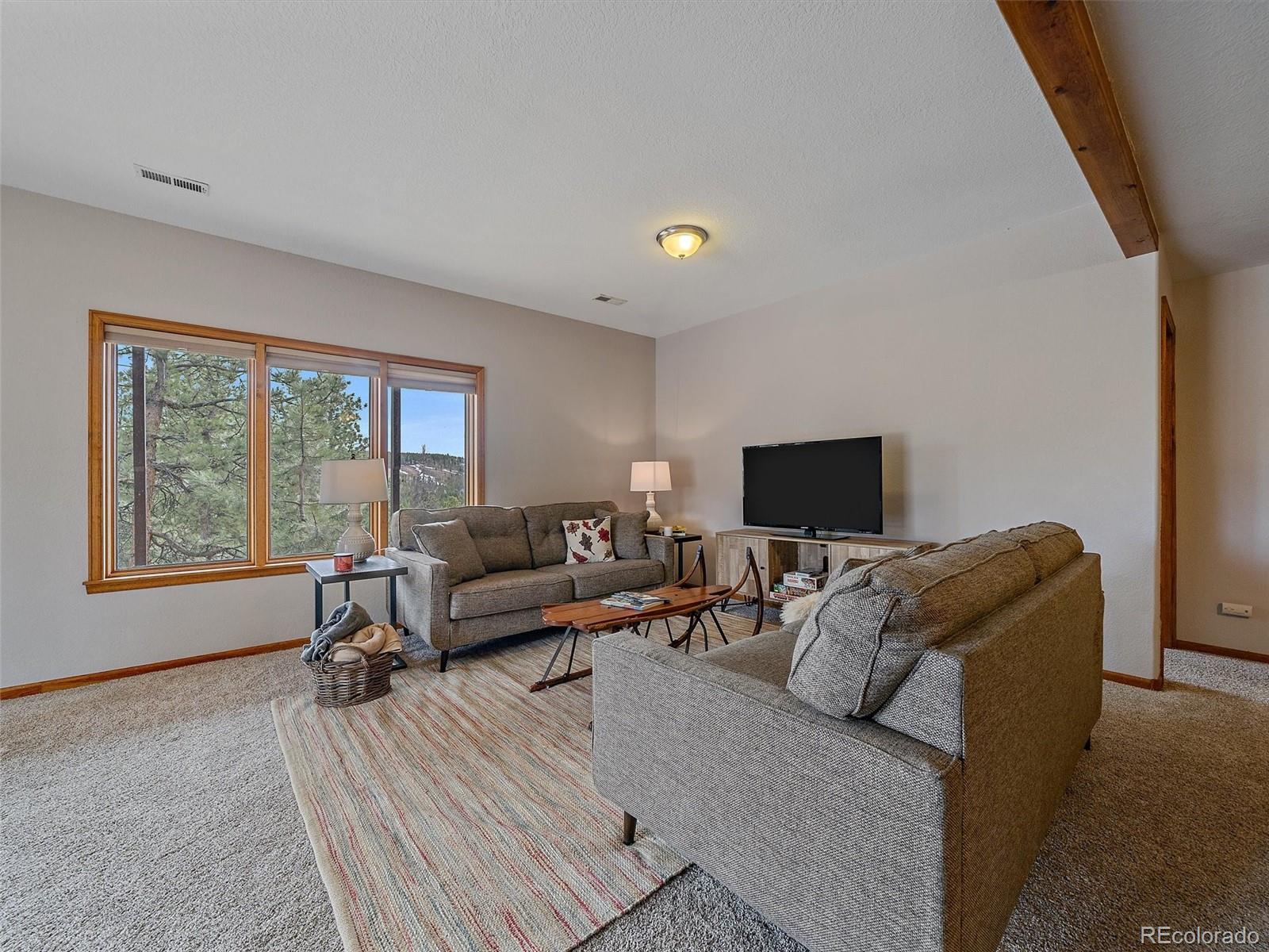 MLS Image #26 for 11093  milliken avenue,conifer, Colorado