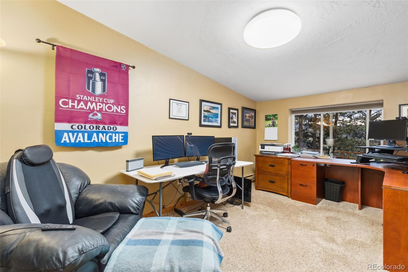 MLS Image #14 for 150  hess avenue,golden, Colorado