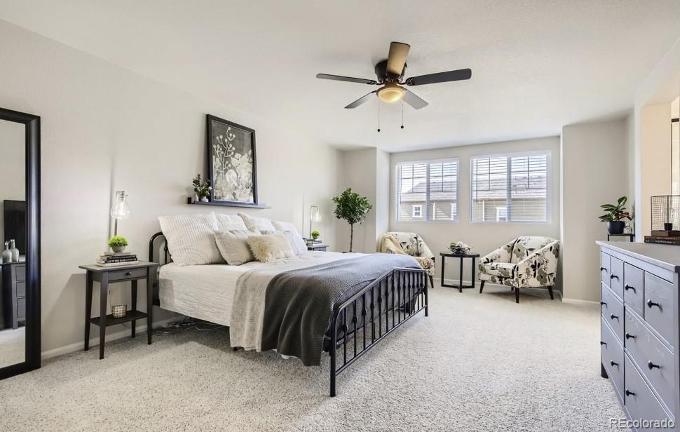 MLS Image #11 for 2898  low meadow boulevard,castle rock, Colorado