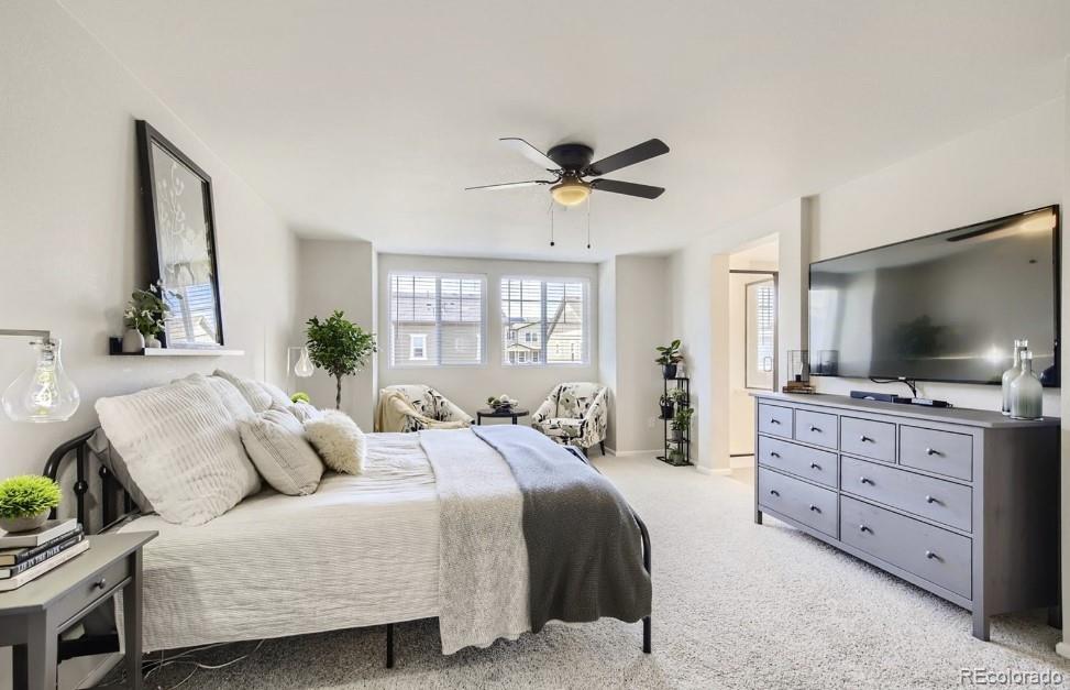 MLS Image #12 for 2898  low meadow boulevard,castle rock, Colorado
