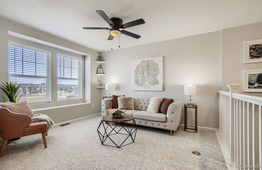 MLS Image #15 for 2898  low meadow boulevard,castle rock, Colorado