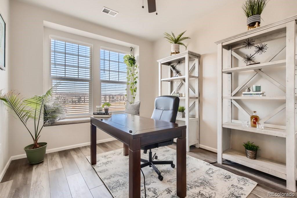 MLS Image #8 for 2898  low meadow boulevard,castle rock, Colorado